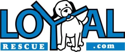 Loyal Rescue